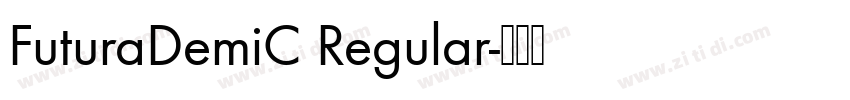 FuturaDemiC Regular字体转换